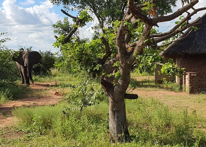Masorini Bush Lodge & Safari Tents